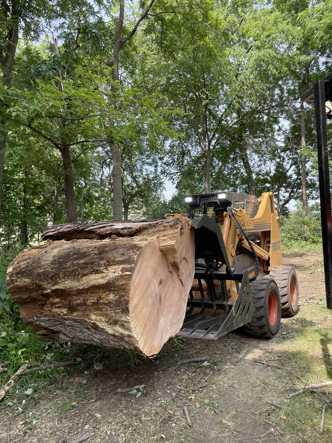 Large log being moved with a skid loader