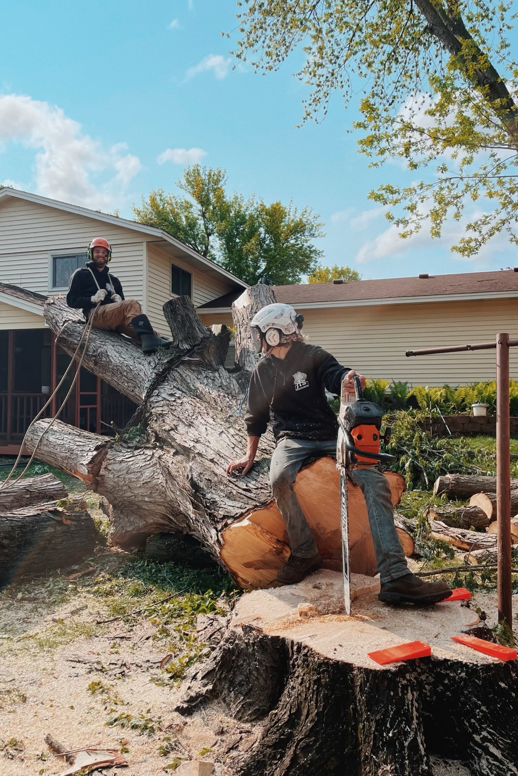 Crew posing on a large tree removal job